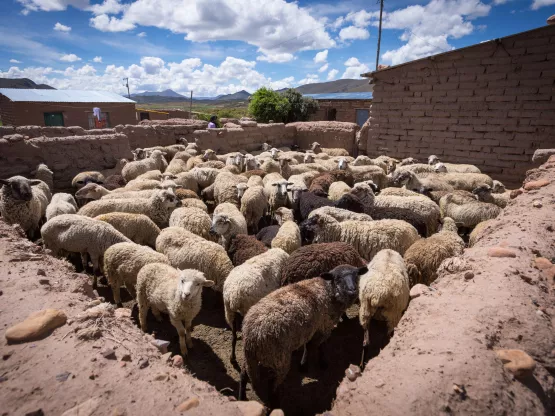 Camiri Bolivien Landwirtschaft Bauern World Vision Projekt Kinder 