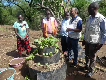 Gemüseanbau in einem Projekt in Kenia