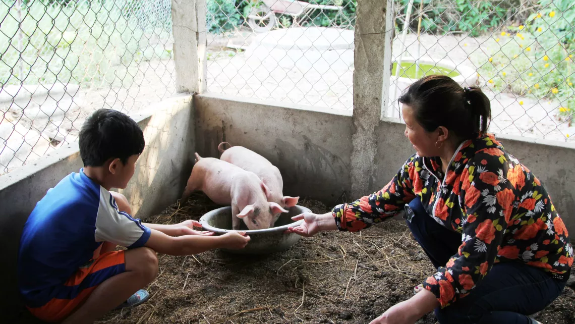Mutter und Sohn füttern ihre Schweine in Trieu Phong, Vietnam