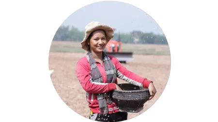 Frau mit Reis auf einem Feld in Kambodscha