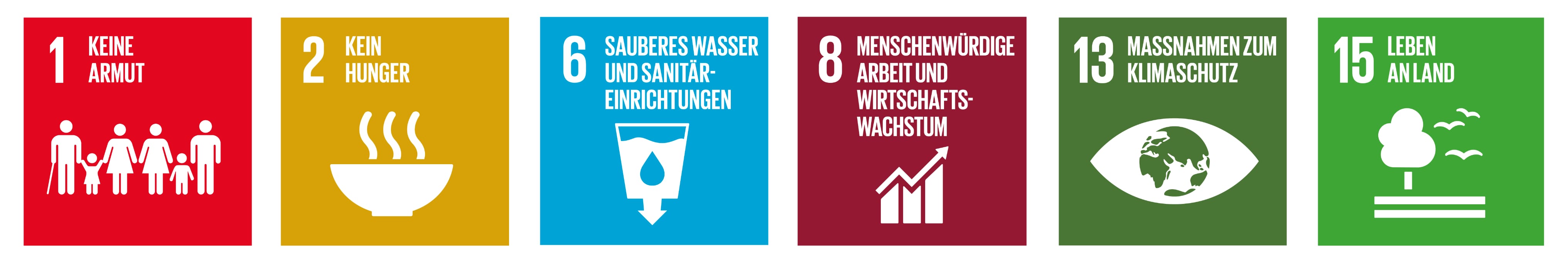 SDG Icons
