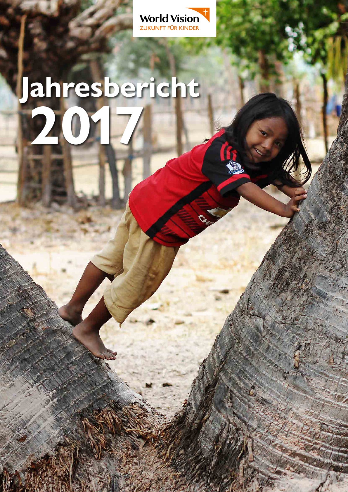 Jahresbericht 2017.pdf