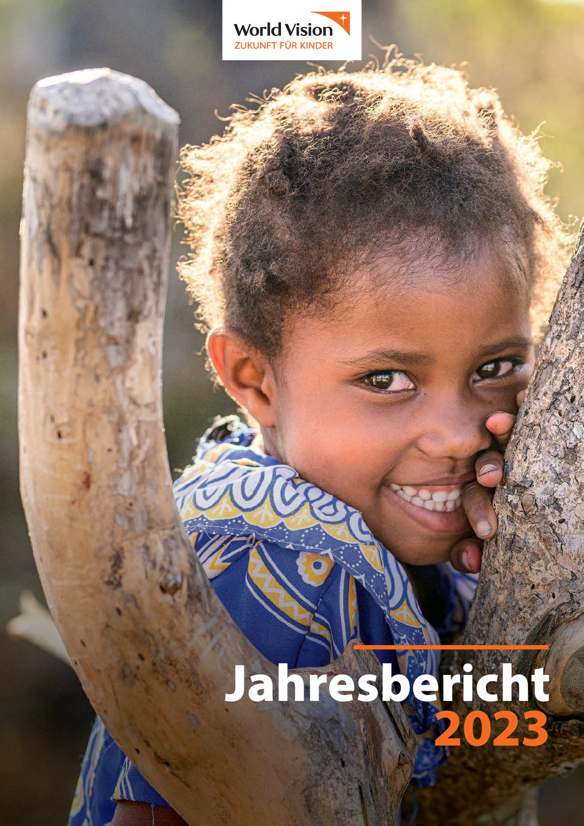 Jahresbericht 2023.pdf
