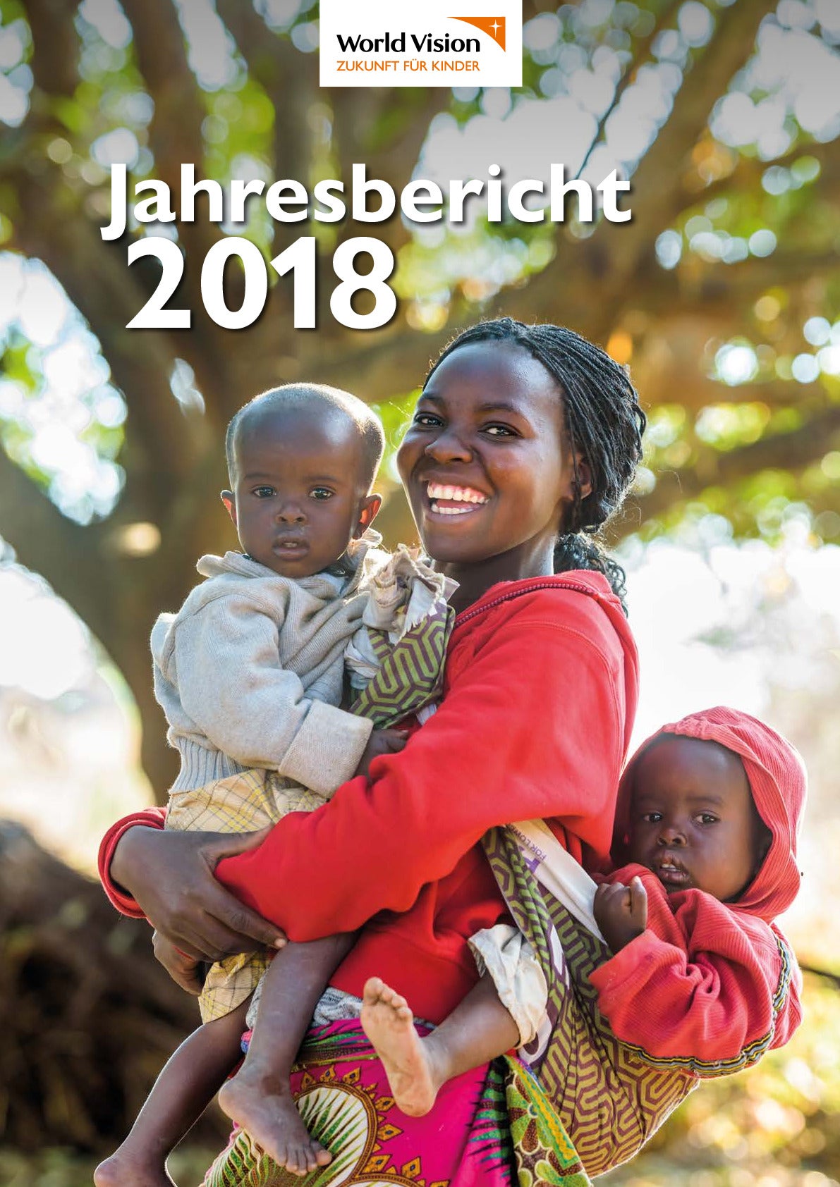 Jahresbericht 2018.pdf