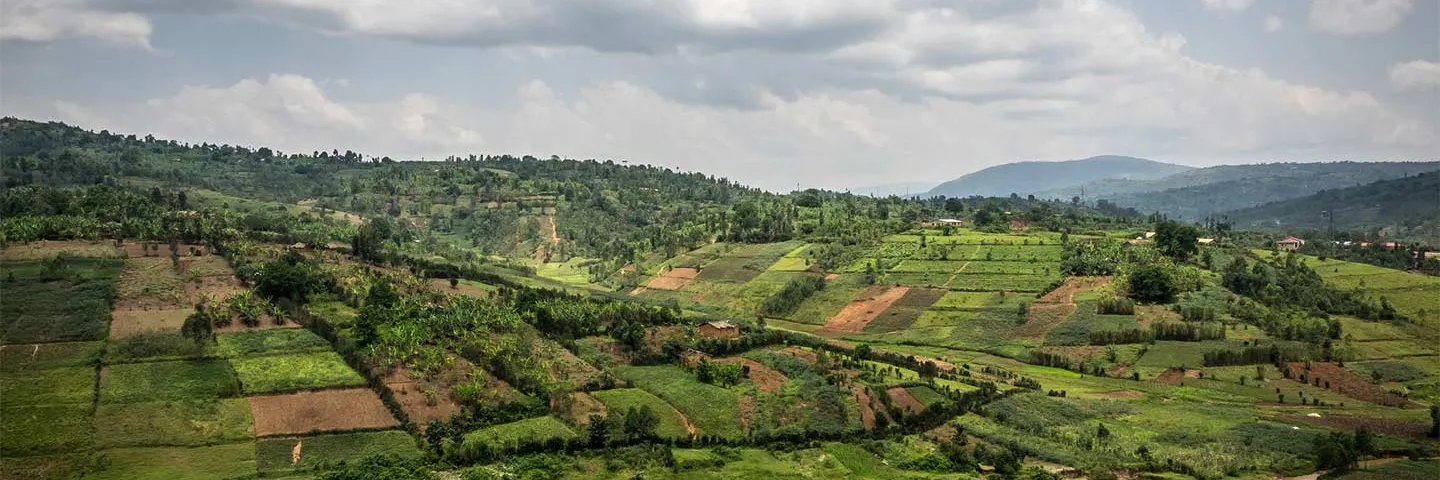 Burundi Grünlandschaft