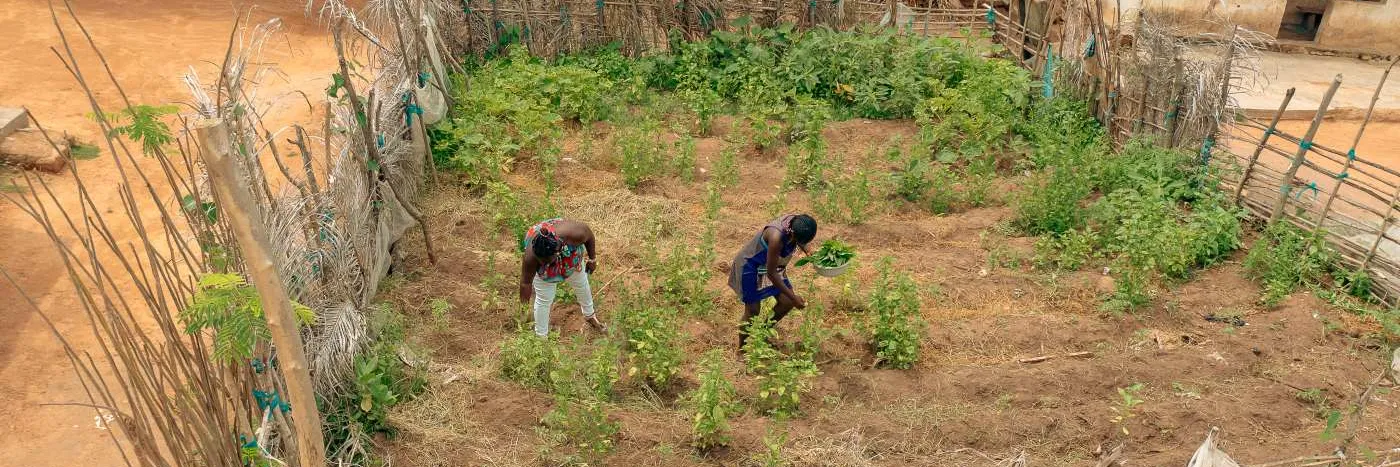 Gesundheit Ghana