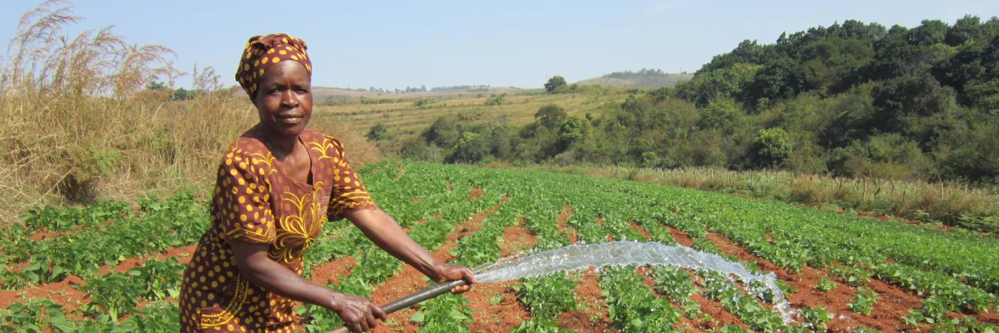Gesundheit und Ernährung in Eswatini stärken