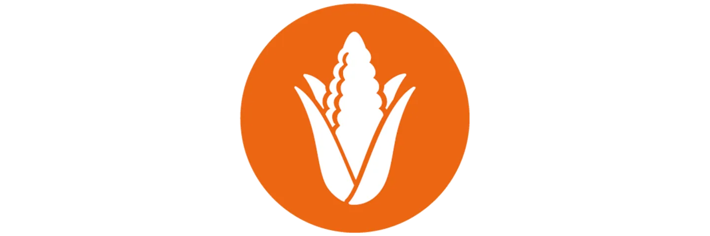 Ernaehrung Icon