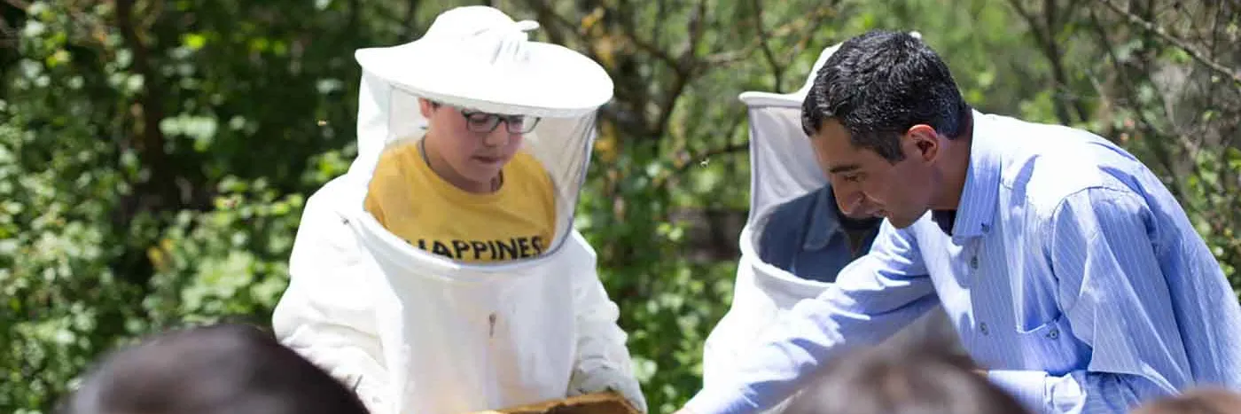 beehive