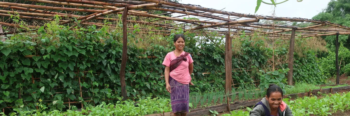 Zwei Frauen in Laos bestellen Gemüsebeete