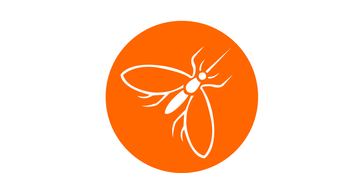 4. Prävention und Behandlung von Malaria  Moskitonetze und Vorsorge