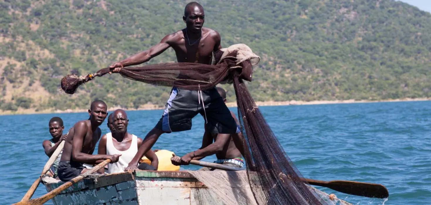 Fischfang auf dem Malawisee