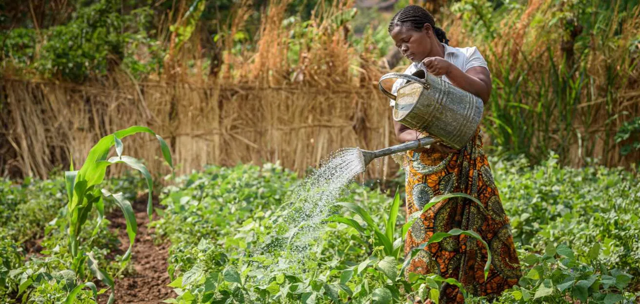Ireen aus Malawi bewässert ihre Pflanzen.