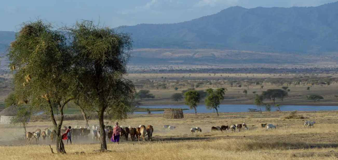 Landschaft in Tansania