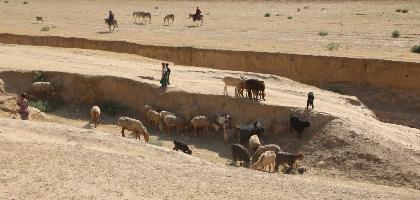 Afghanistan Dürre