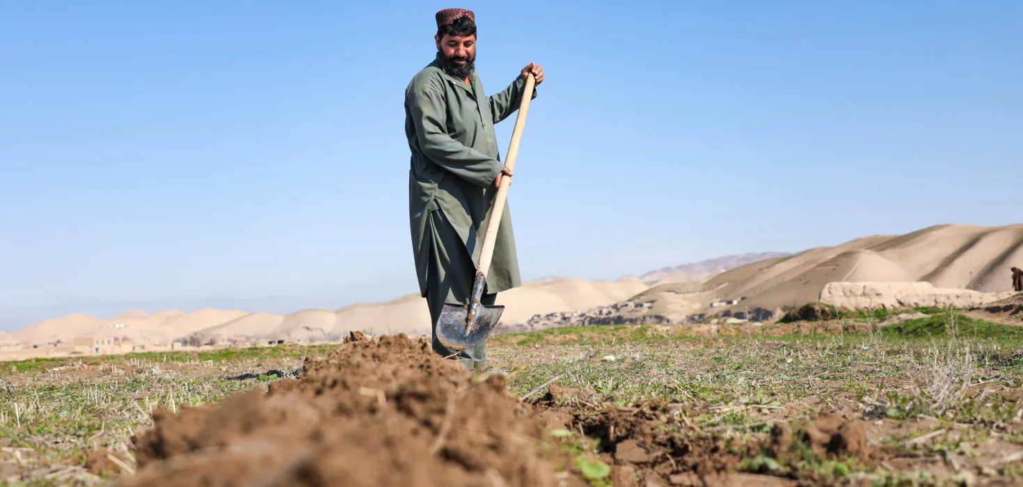 Ein afghanischer Bauer gräbt seinen Acker mit der Schaufel um.