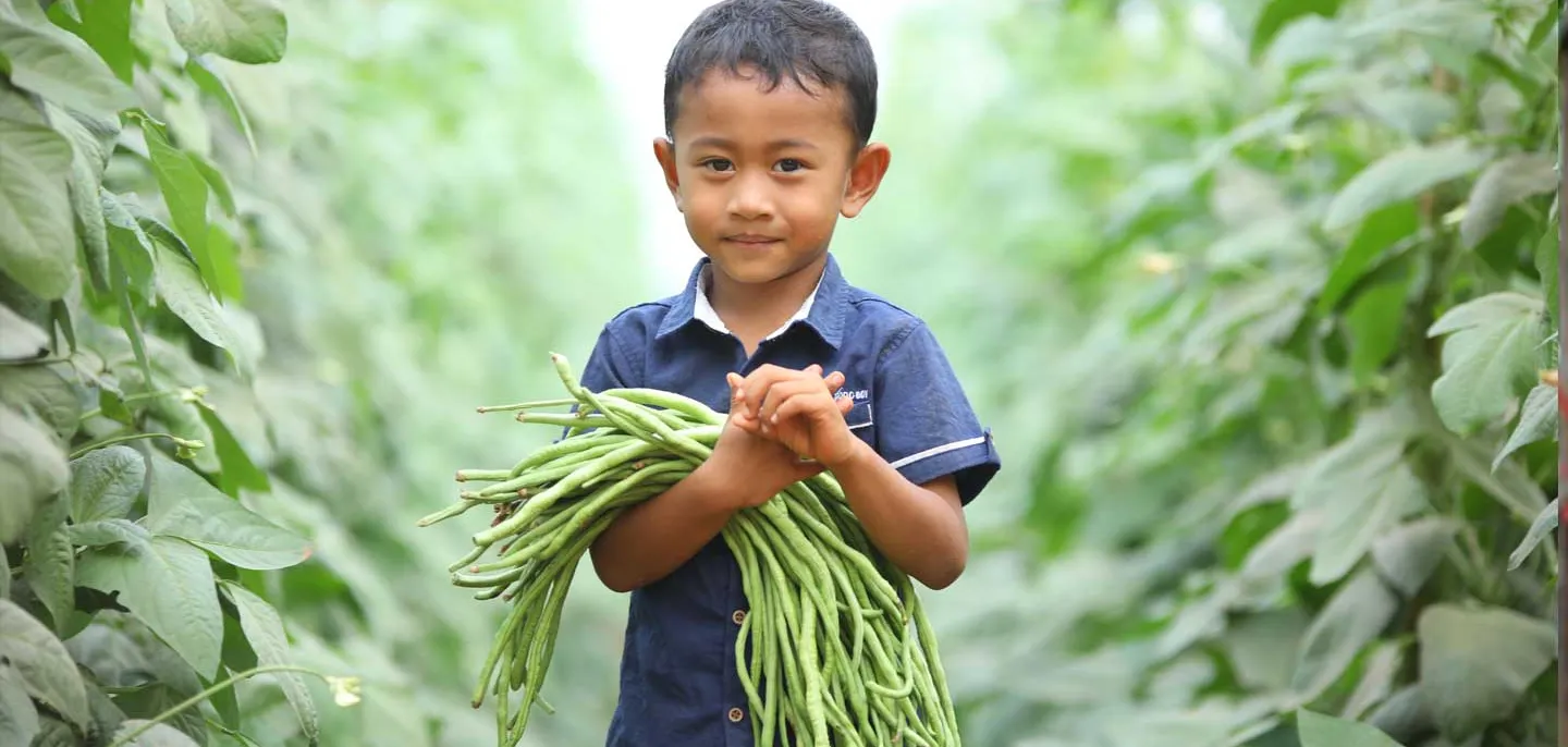 Für Chantreas Kinder sind die Bohnen nicht nur lecker und gesund. Mit dem verbesserten Einkommen können ihre Eltern Schulmaterialien und Klamotten kaufen und auch für die Zukunft sparen. 