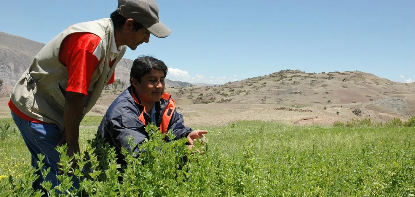 Yerson aus Peru