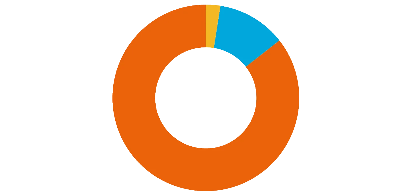 Grafik Mittelverwendung