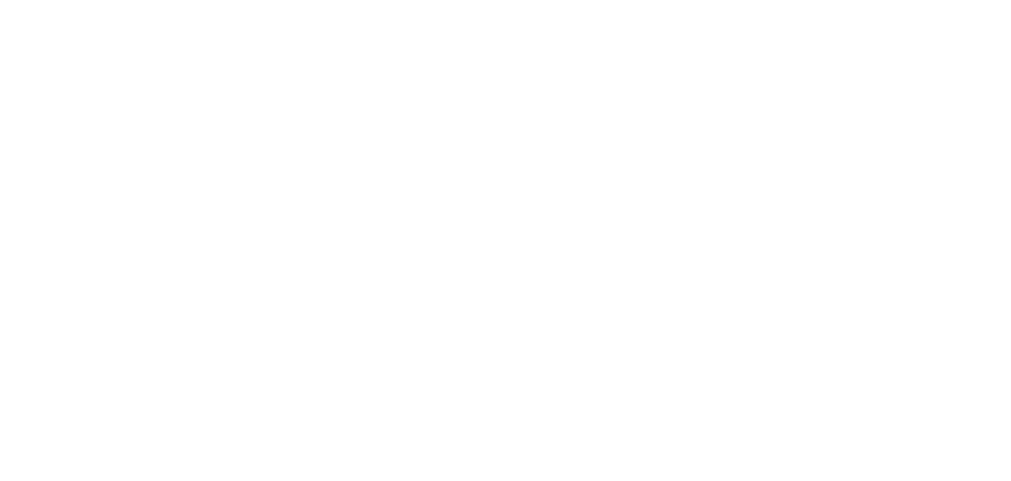 Icon Sicherheit