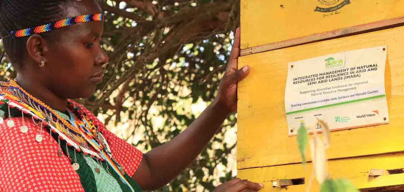 Frau aus Kenia mit Bienenstock