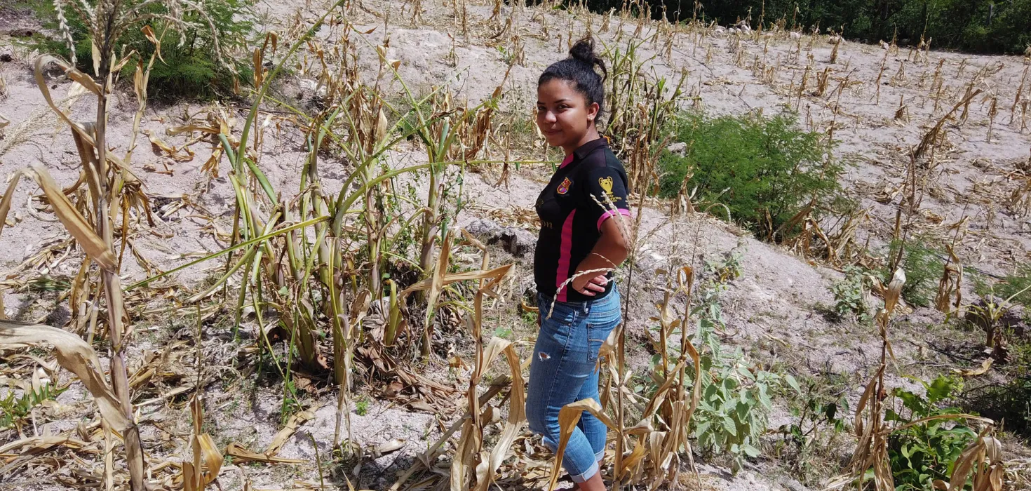 Anhaltende Dürren zerstören häufig die Ernten in Mittelamerika und verursachen so Arbeitslosigkeit und Hunger.
