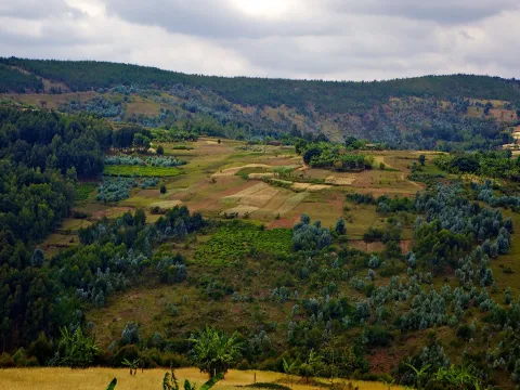 Landschaft in Burundi