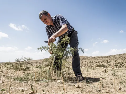Tony Rinaudo der Waldmacher        