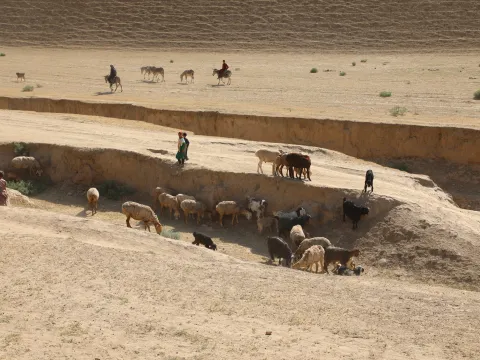 Afghanistan Dürre