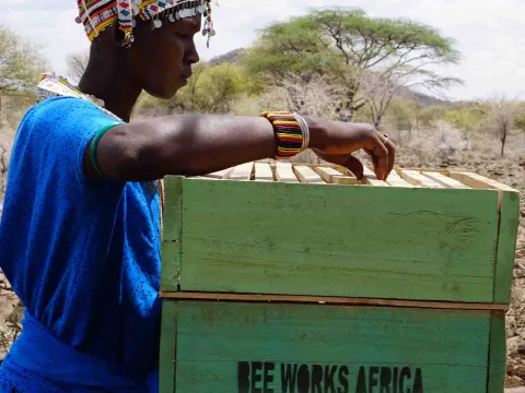 Frau aus Kenia mit Bienenkorb