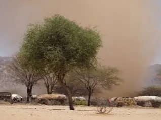Dürre in Kenia