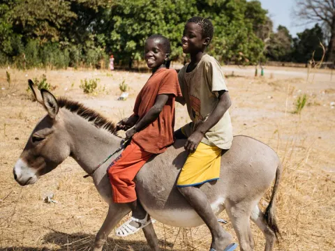 Jungen reiten auf einem Esel im Senegal