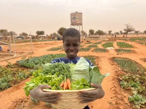 Einblicke aus dem Projekt zur Stärkung der Resilienz in Niger 