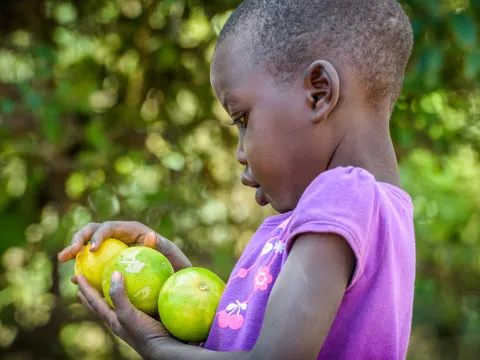 Kamamas Mutter hat dank dem sauberen Wasser eine Obstplantage