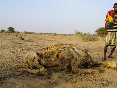 Dürre in Somalia