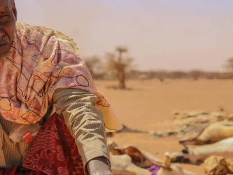 Hungersnot am Horn von Afrika