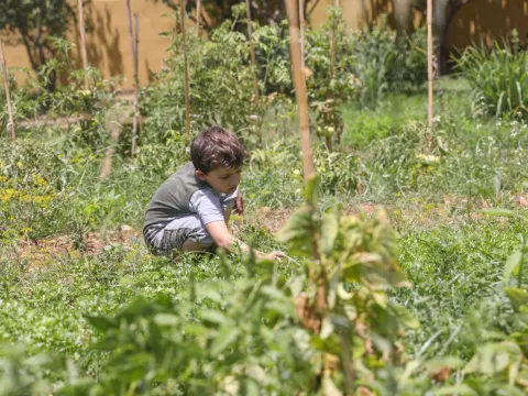 Ein kleiner Junge in seinem Garten im Libanon