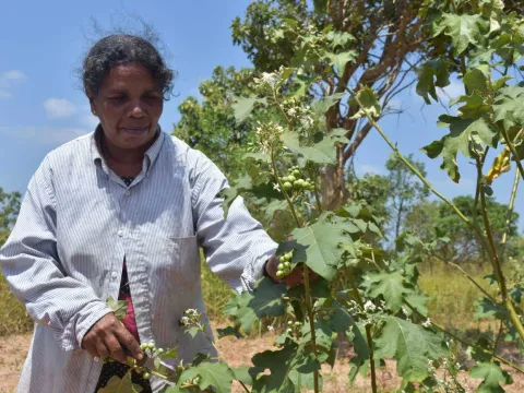 Frau aud Sri Lanka in ihrem Garten 