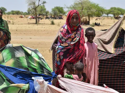 Viele Frauen und Kinder flüchten zu Fuß über weite Strecken aus dem Sudan in das Nachbarland Tschad.
