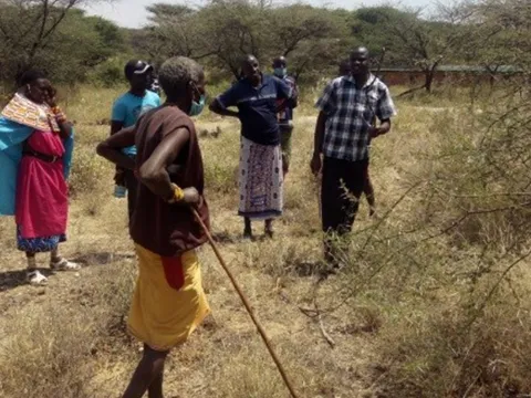 Die Wüstenheuschrecken haben große Teile der landwirtschaftlichen Produkte in Kenia zerstört