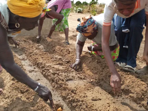 World Vision: Öffentliche Geber Landwirtschaftsprojekt gemeinsam mit der EU