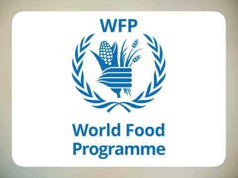 WFP Logo