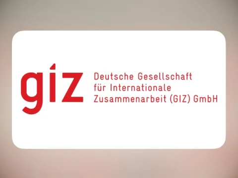Öffentliche Geber: GiZ