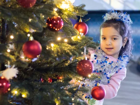 DGG Sinnvolle Weihnachtsgeschenke