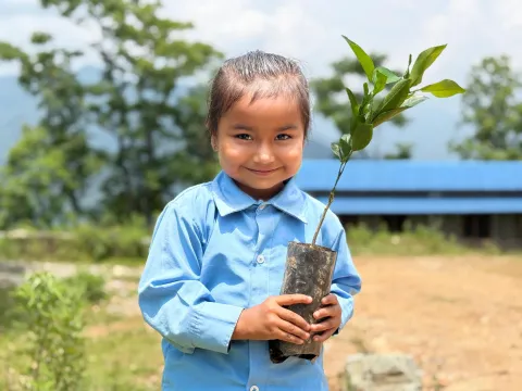 Kind mit einem Baumsetzling in Nepal