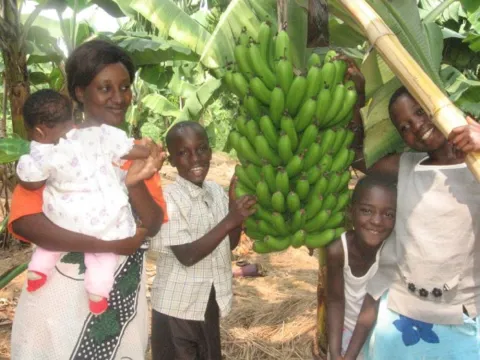 Familie mit Bananenstauden