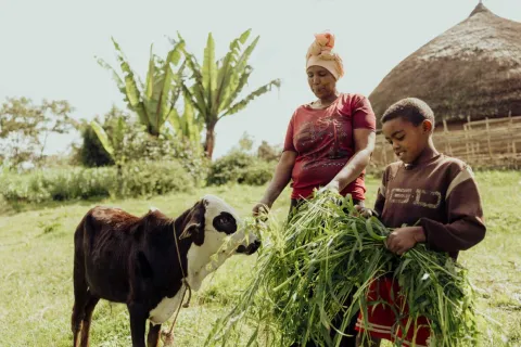 Ernährungsgrundlagen sichern in einem World Vision Patenschaftsprojekt in Äthiopien