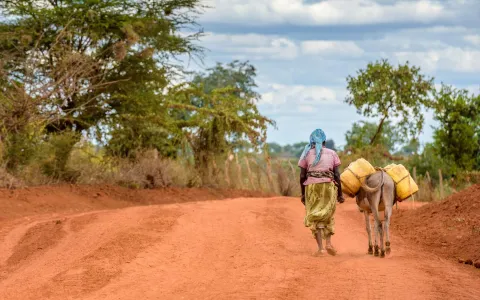 Satzung der World Vision Stiftung