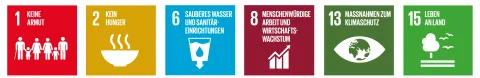 SDG Icons