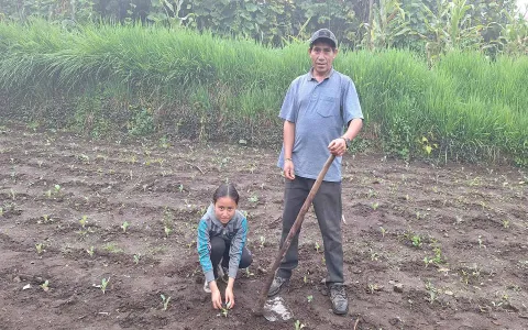 Vater mit Kind auf Feld